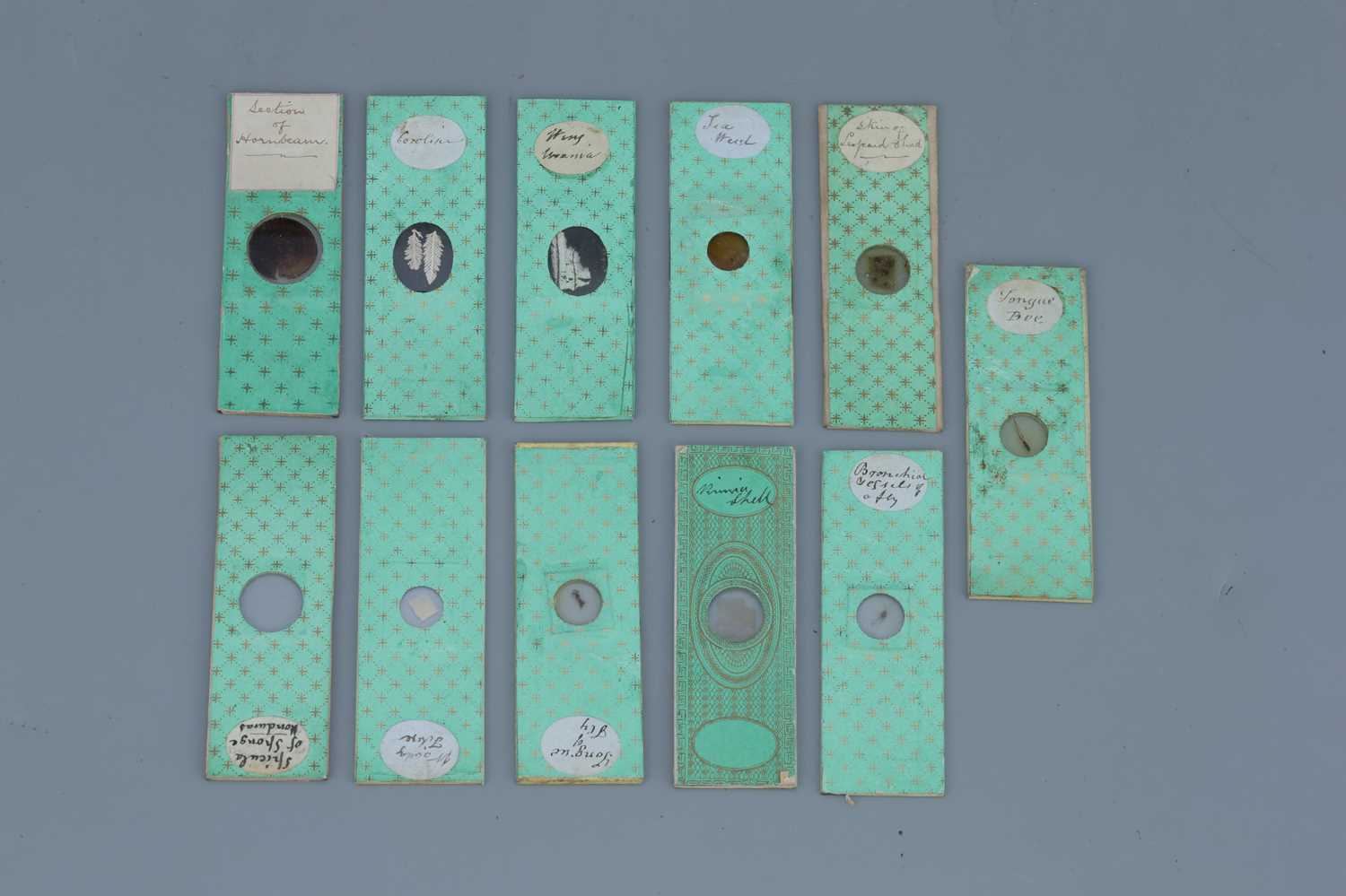 Lot 9 - An Early Collection of Microscope Slides,