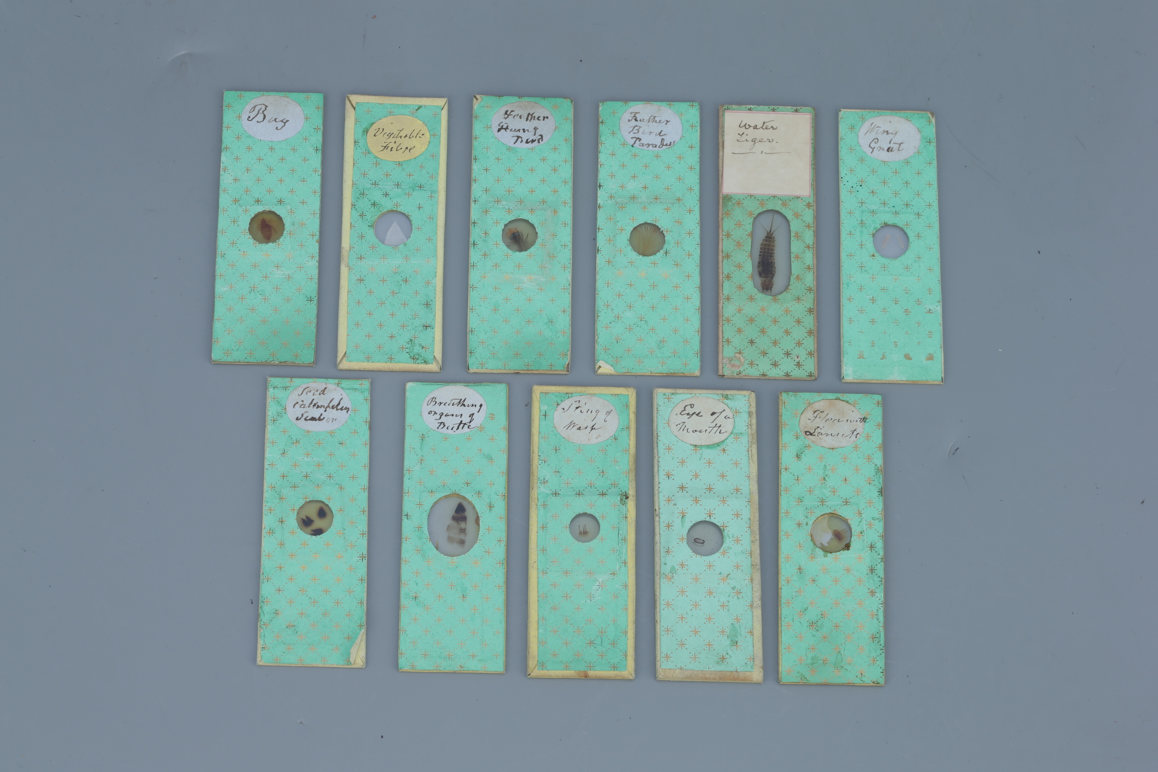 Lot 9 - An Early Collection of Microscope Slides,