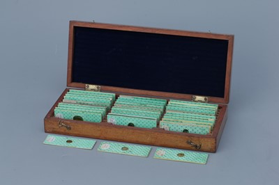 Lot 9 - An Early Collection of Microscope Slides