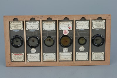 Lot 15 - Fine Collection of 72 Fred Enock Microscope Slides