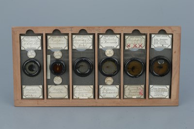 Lot 15 - Fine Collection of 72 Fred Enock Microscope Slides
