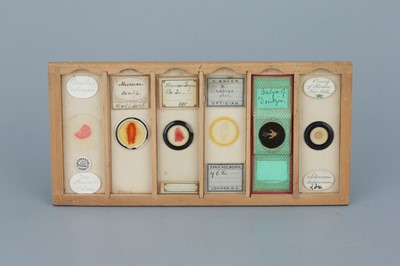 Lot 16 - Two Cases of Microscope Slides