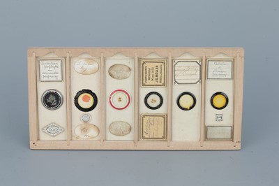 Lot 16 - Two Cases of Microscope Slides