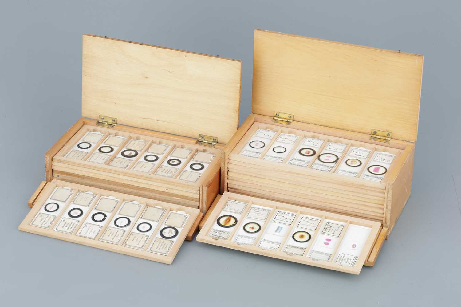 Lot 24 - Two Cases  of Microscope Slides