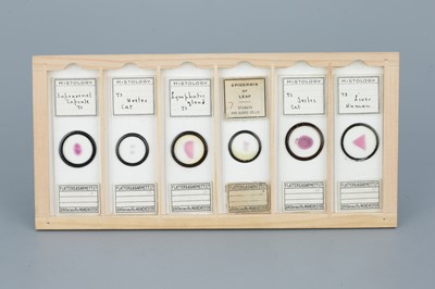 Lot 24 - Two Cases  of Microscope Slides