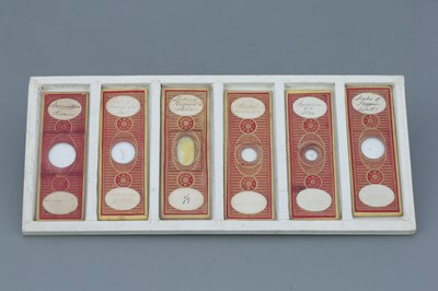 Lot 17 - Set of 36 Cased C. M. Topping Microscope Slides