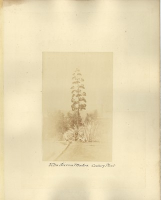 Lot 17 - ELIAS A BONINE (1843-1916), 16 photographs of the American West