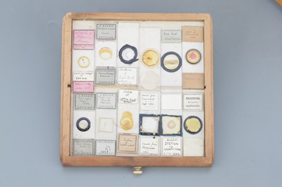 Lot 36 - Small Cabinet of Microscope Slides