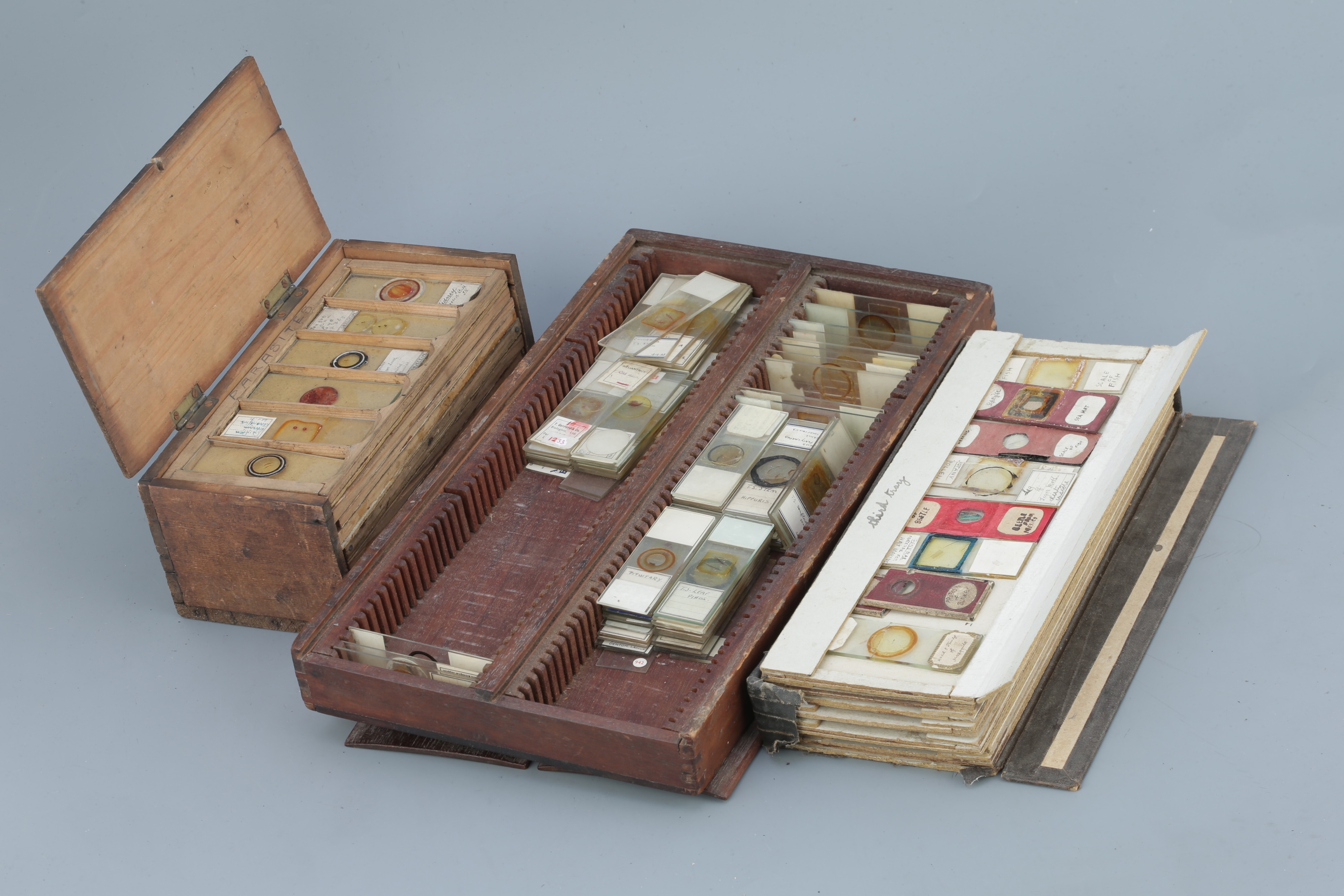 Lot 37 two microscope slide boxes
