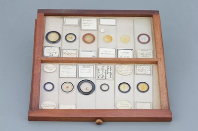 Lot 41 - Microscope SlideCabinet & Slide Collection