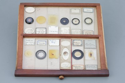 Lot 41 - Microscope SlideCabinet & Slide Collection