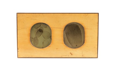 Lot 433 - A Pair of Important Collodion Photomicrographs By Delves