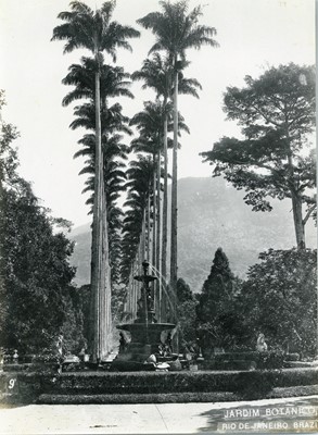 Lot 367 - Early Photographs of Brazil