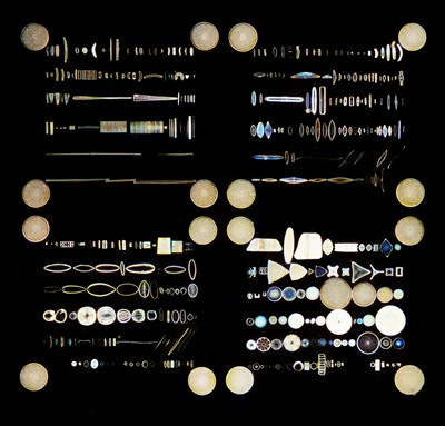 Lot 425 - Möller Diatom Typen-Platte Microscope Slide