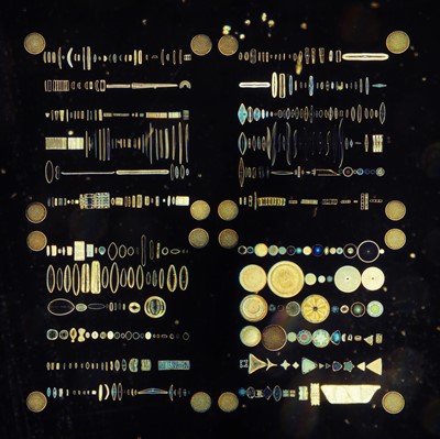 Lot 426 - Möller Diatom Typen-Platte Microscope Slide