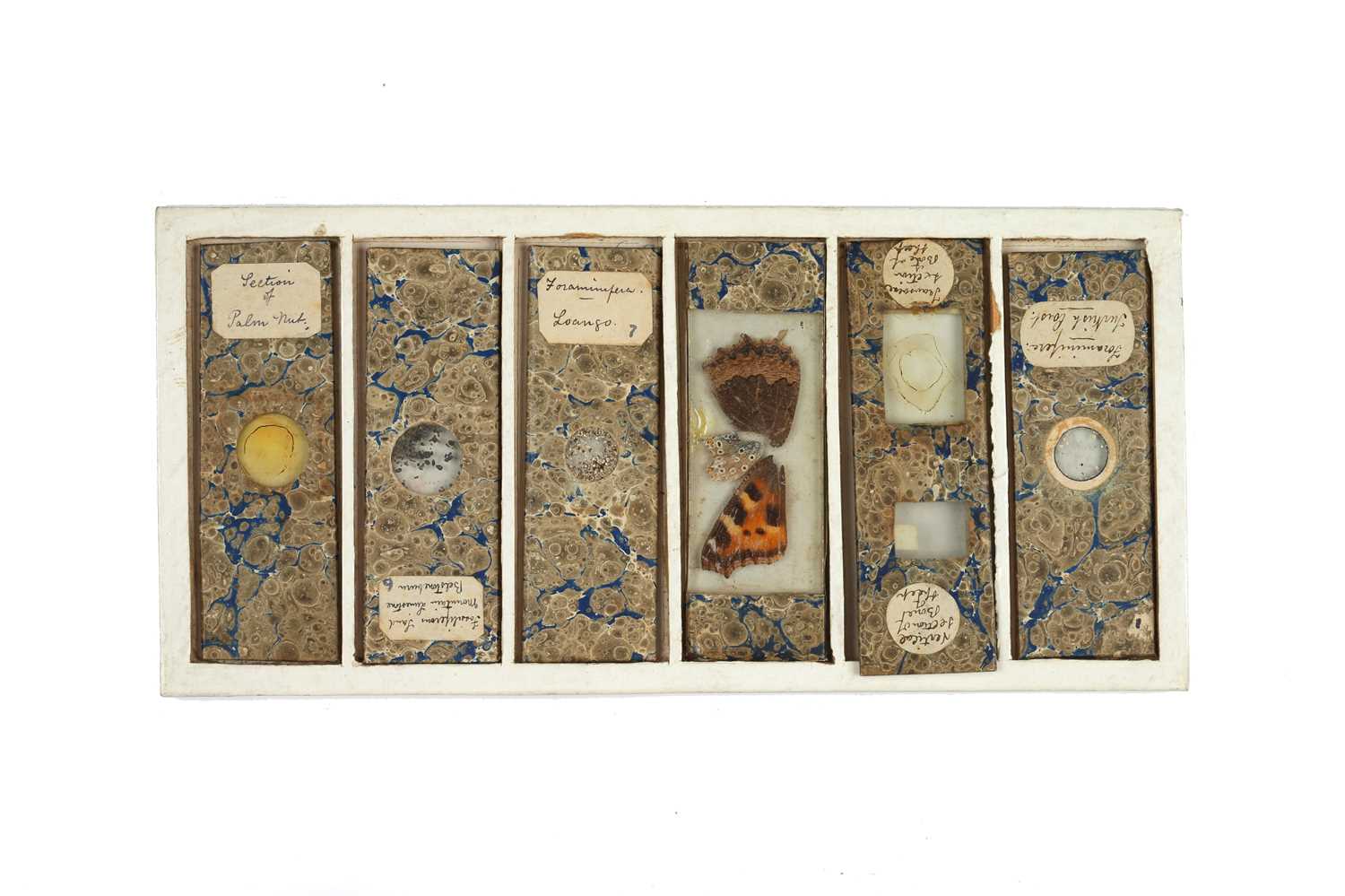 Lot 416 - An Early Collection of Microscope Slides,