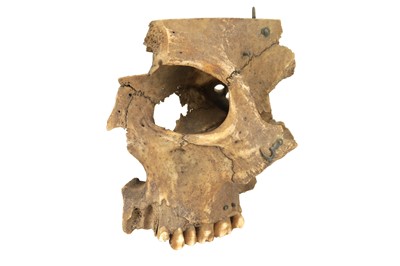 Lot 468 - Medical Students Disarticulated Human Skull