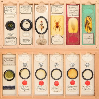 Lot 18 - A Microscope Slide Collection