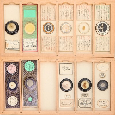 Lot 18 - A Microscope Slide Collection