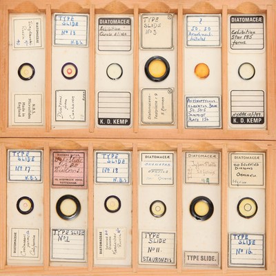 Lot 19 - A Microscope Slide Collection