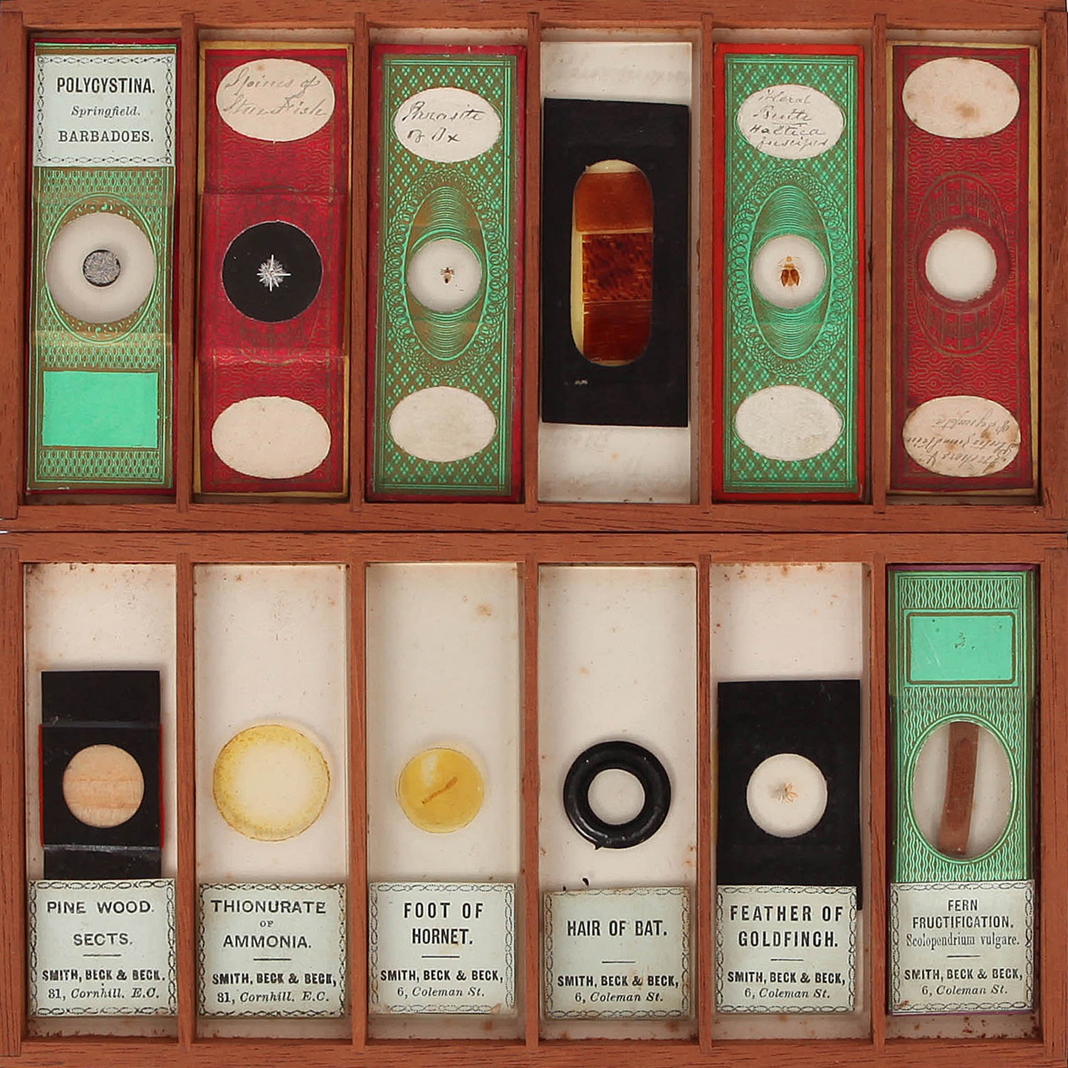 Lot 20 A Microscope Slide Collection,