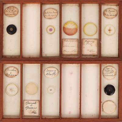 Lot 20 - A Microscope Slide Collection