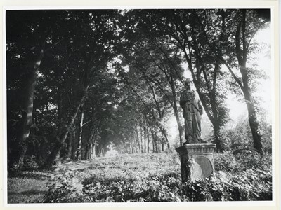 Lot 137 - EUGENE ATGET  (1857–1927), Parc de Sceaux