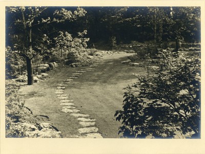 Lot 151 - BERTRAM PARK (1883-1972) A Pictorialist Garden Folio