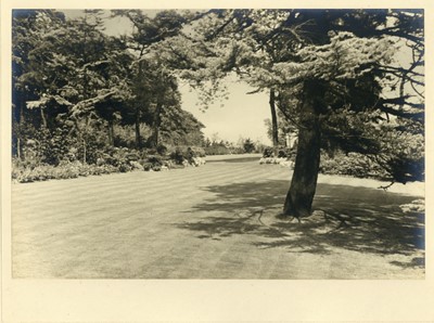 Lot 151 - BERTRAM PARK (1883-1972) A Pictorialist Garden Folio