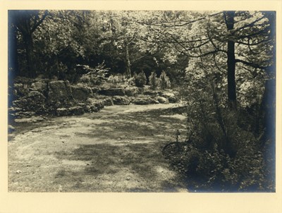 Lot 151 - BERTRAM PARK (1883-1972) A Pictorialist Garden Folio