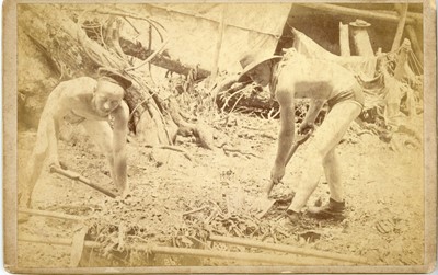 Lot 113 - LT B T SOMERVILLE Photographs from the Solomon Islands Survey Party