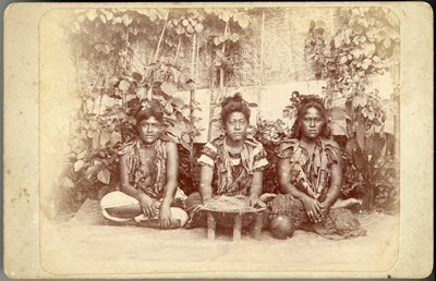 Lot 112 - 19th Century Photographs of Fiji