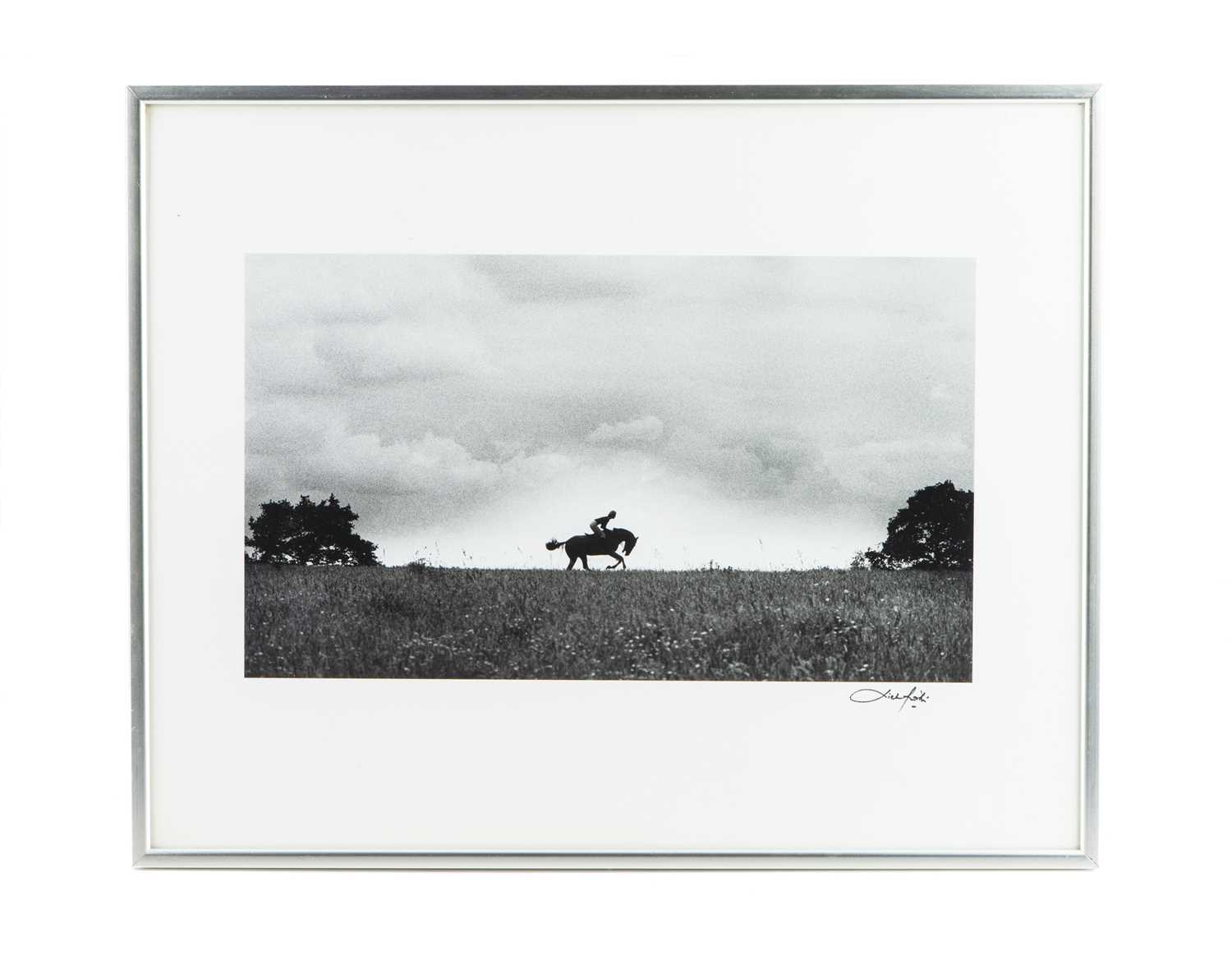 Lot 141 - PATRICK LICHFIELD (1939-2005), A Racehorse