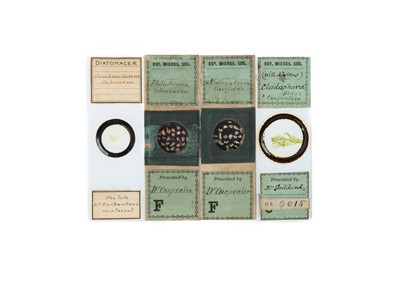 Lot 402 - A Collection of Microscope Slides By Famous Microscopists