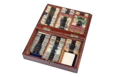 Lot 408 - An Impressive Collection of Arranged Diatom & Foraminifera Microscope Slides