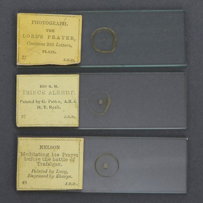 Lot 35 - A Collection of Thirteen Cased Microscope Microphotographs
