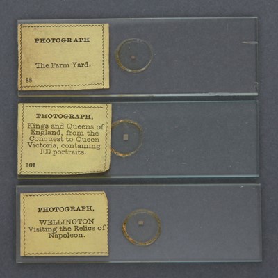 Lot 35 - A Collection of Thirteen Cased Microscope Microphotographs