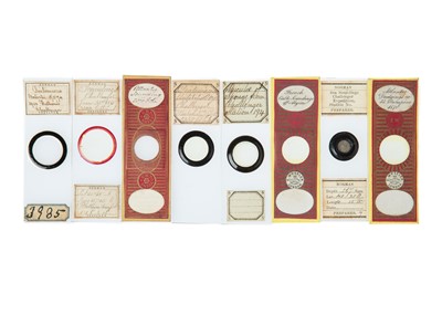 Lot 421 - A Collection of 12 Challenger Expedition Microscope Slides