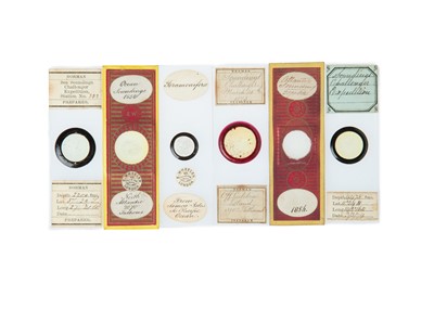 Lot 421 - A Collection of 12 Challenger Expedition Microscope Slides