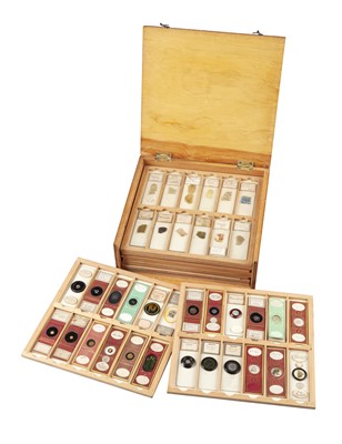 Lot 398 - A Very Fine Collection of 144 19th Century Geology Microscope Slides